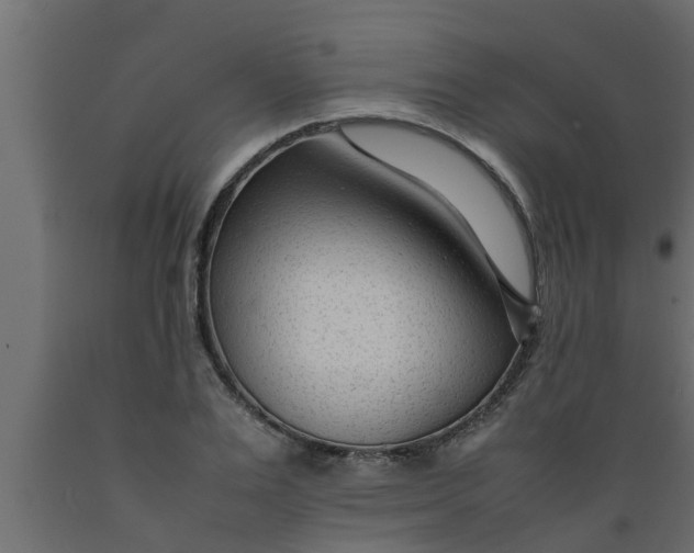 X0000089450983200707061239