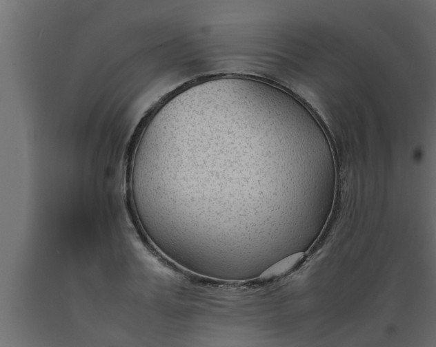 X0000089450987200707061239