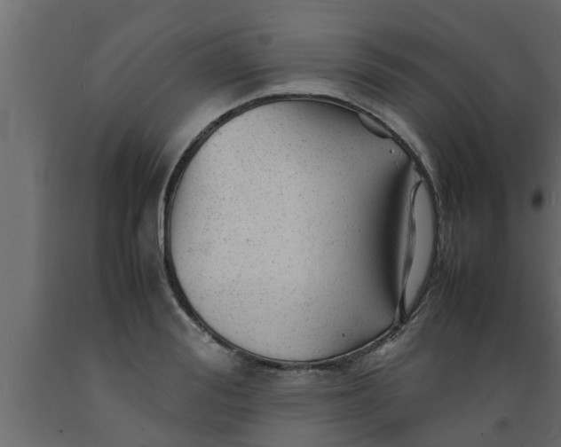 X0000089450988200707061239