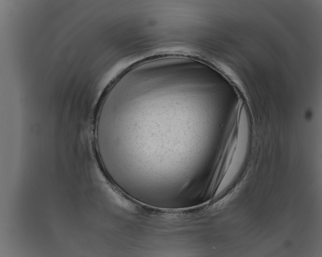 X0000089450989200707061239