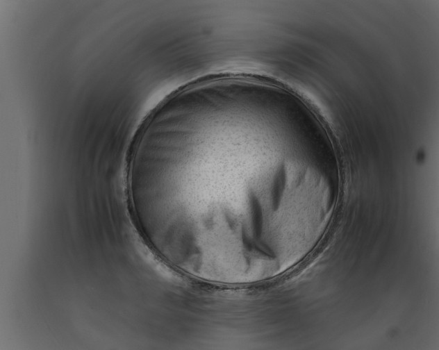 X0000089450990200707061239