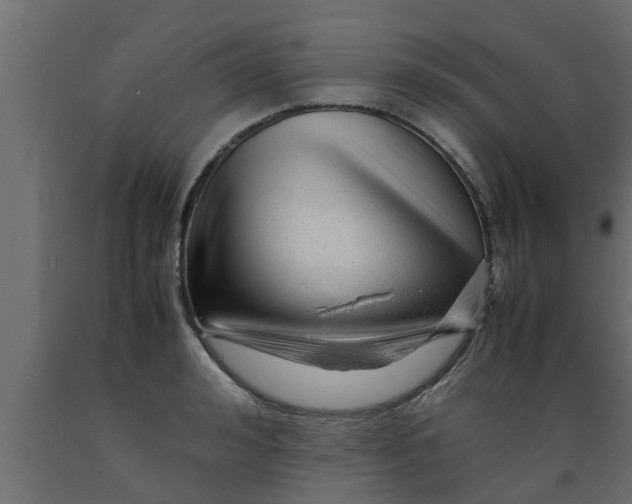 X0000089450992200707061239