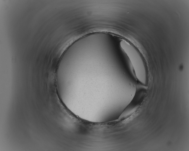 X0000089450993200707061239