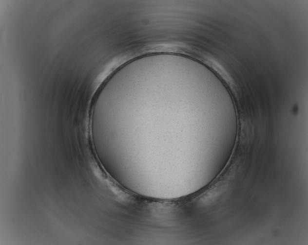 X0000089450994200707061239