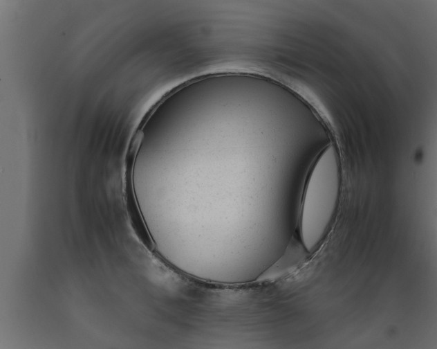 X0000089450996200707061239