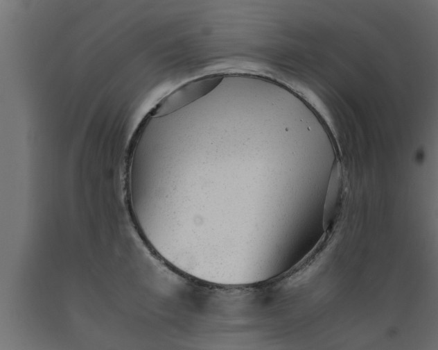 X0000089450997200707061239