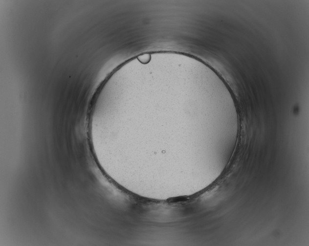 X0000089450998200707061239