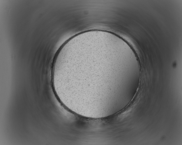 X0000089450999200707061239