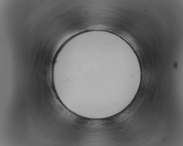 X0000089451000200707061239