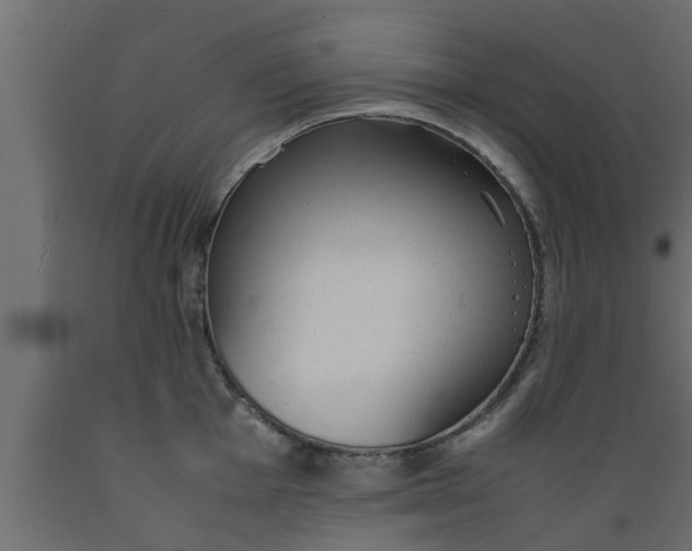 X0000089451001200707061239