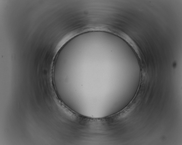 X0000089451002200707061239