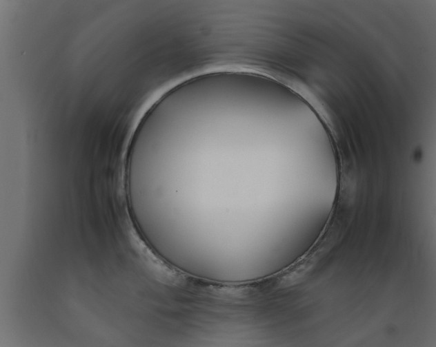 X0000089451004200707061239