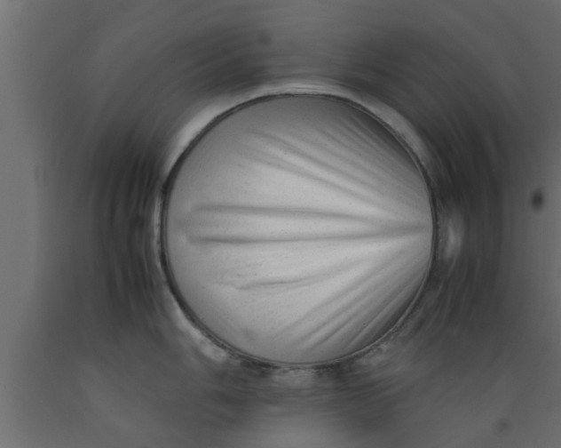 X0000089451006200707061238