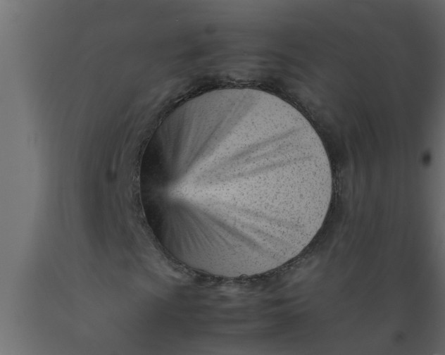 X0000089451009200707061238