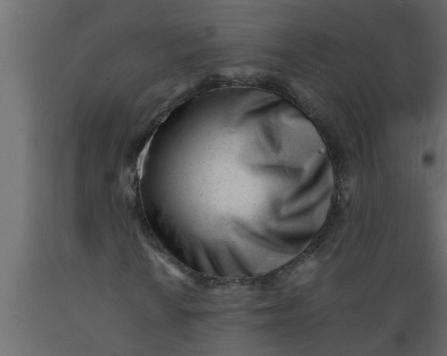 X0000089451010200707061238