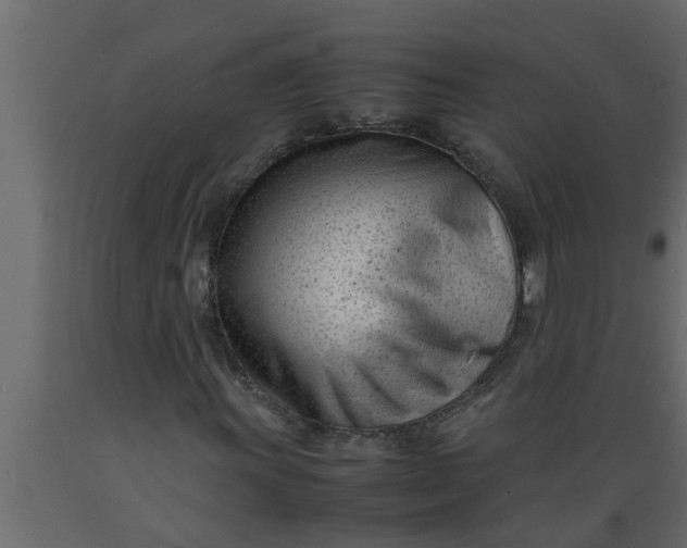 X0000089451011200707061238