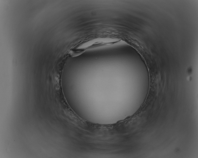 X0000089451013200707061238