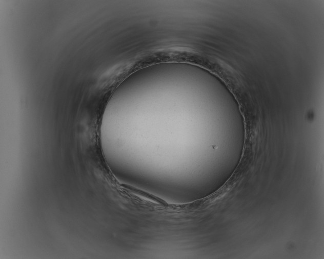 X0000089451014200707061238