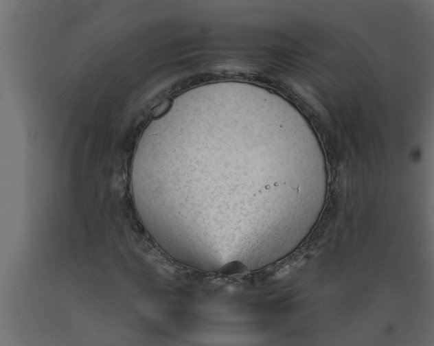 X0000089451015200707061238