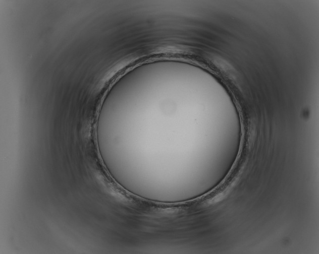 X0000089451017200707061238