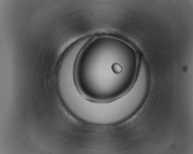 X0000089451018200707061238