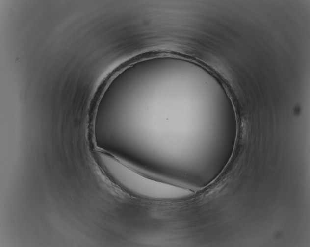 X0000089451020200707061238