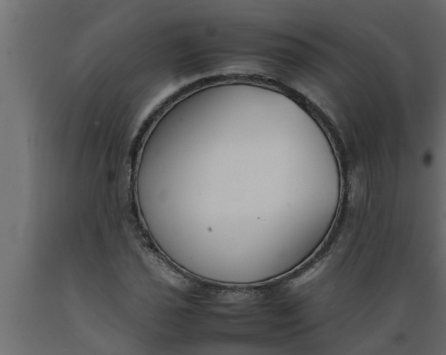 X0000089451021200707061238