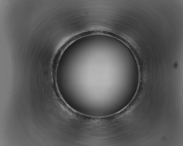 X0000089451022200707061238