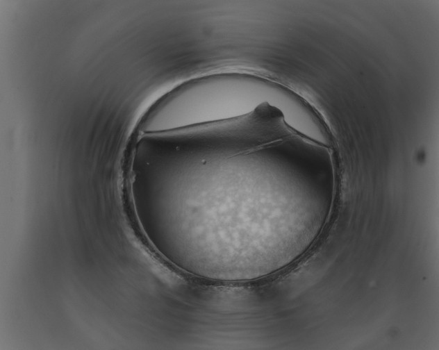 X0000089451024200707061238