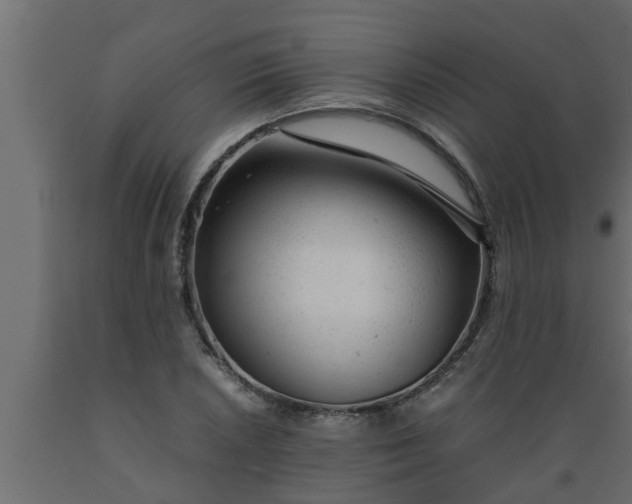 X0000089451026200707061238