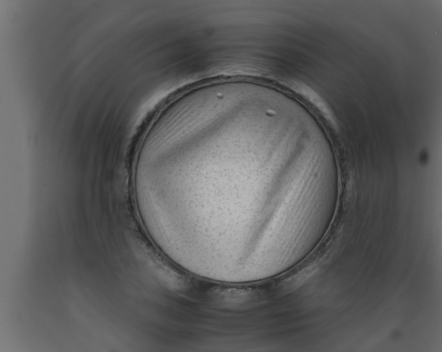 X0000089451027200707061238