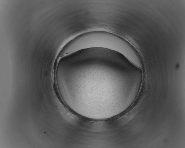 X0000089451028200707061238