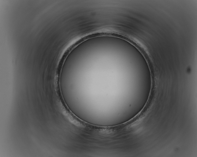 X0000089451029200707061238