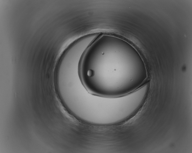 X0000089451030200707061238