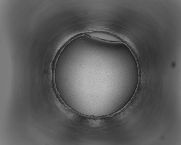 X0000089451031200707061238