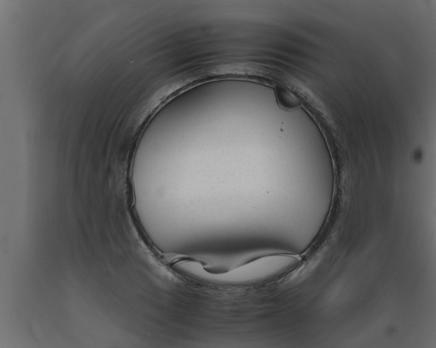 X0000089451033200707061238