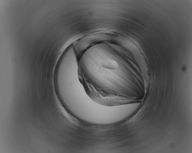 X0000089451034200707061238