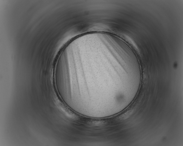 X0000089451035200707061238