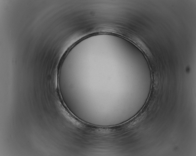 X0000089451036200707061238