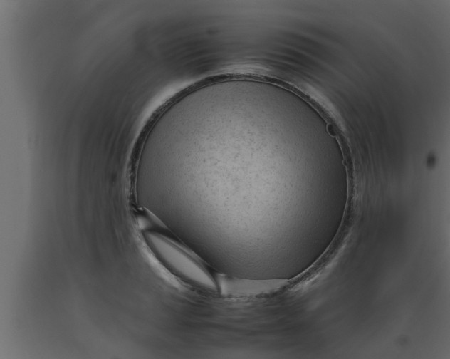 X0000089451037200707061238