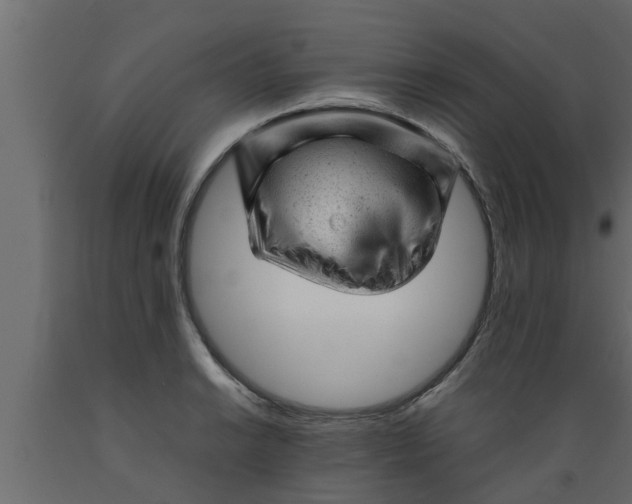 X0000089451038200707061238