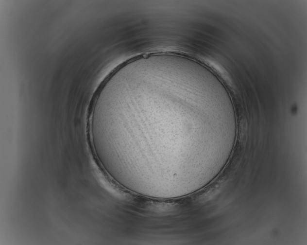 X0000089451039200707061238