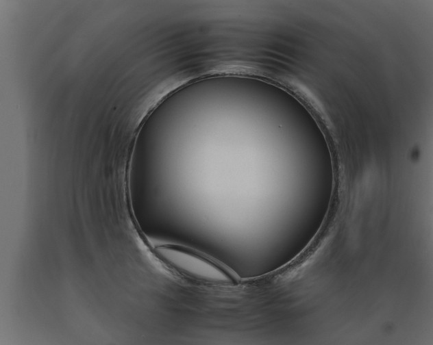 X0000089451041200707061238