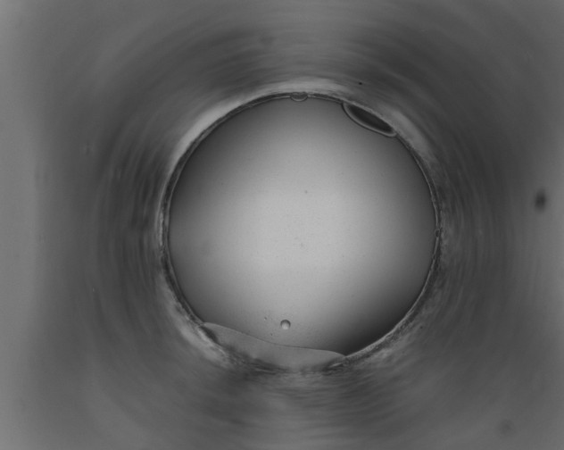 X0000089451044200707061238