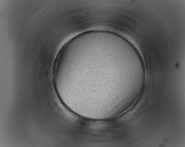 X0000089451045200707061238