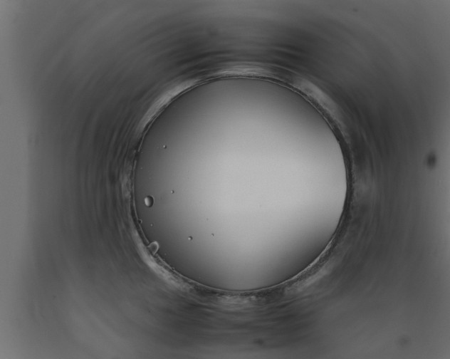 X0000089451049200707061238