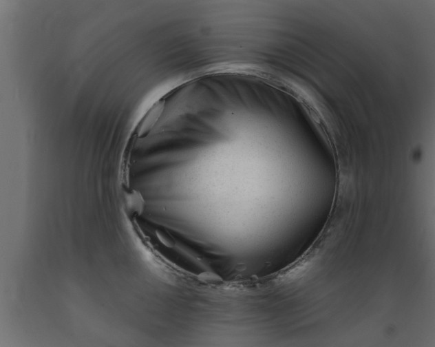 X0000089451050200707061238