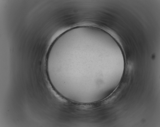 X0000089451053200707061238