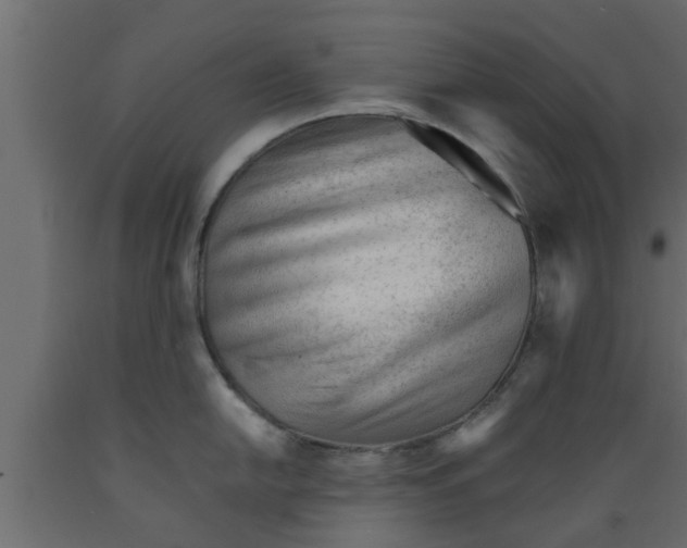 X0000089451054200707061238