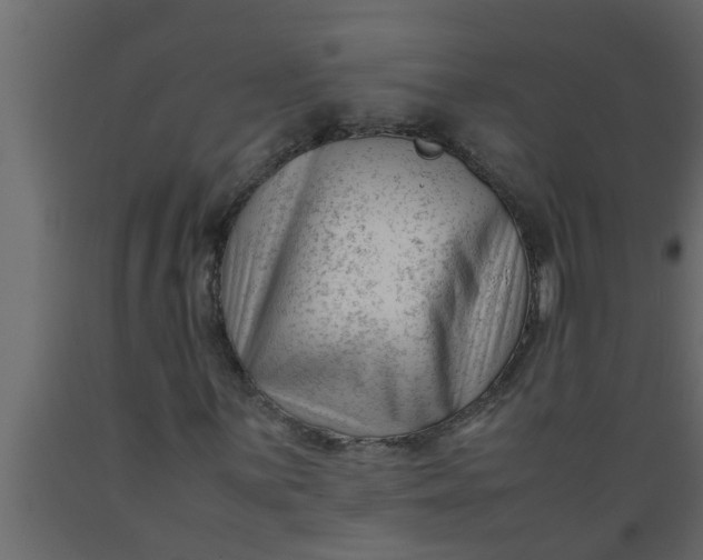 X0000089451059200707061238